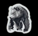 Latest products - Magnet Bear