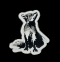 Latest products - Magnet Fox
