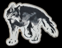 Latest products - Magnet Wolf